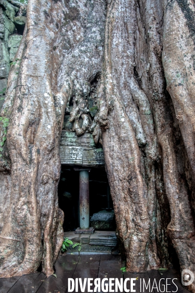 Cambodge - Cambodia