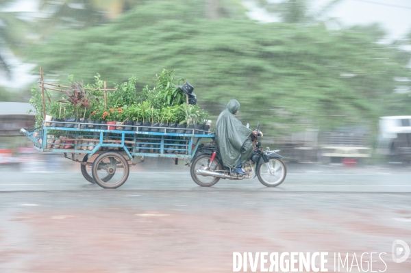 Cambodge - Cambodia