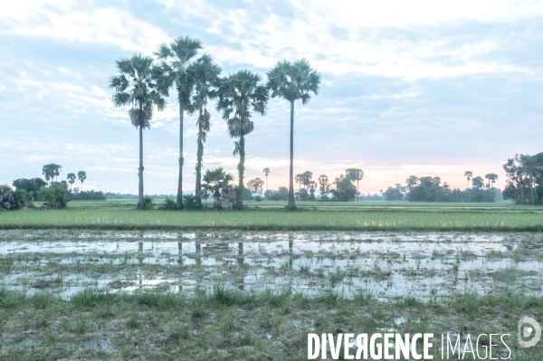 Cambodge - Cambodia