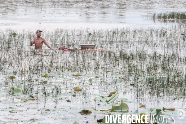Cambodge - Cambodia
