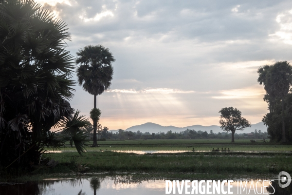 Cambodge - Cambodia