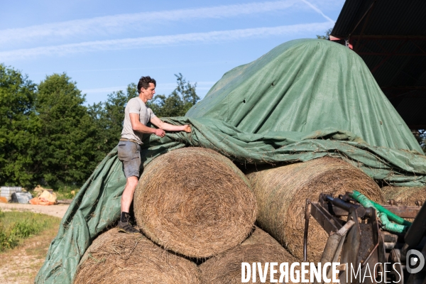 Notre Dame des Landes