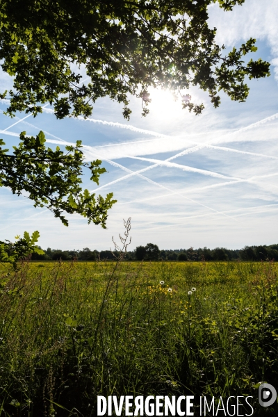 Notre Dame des Landes