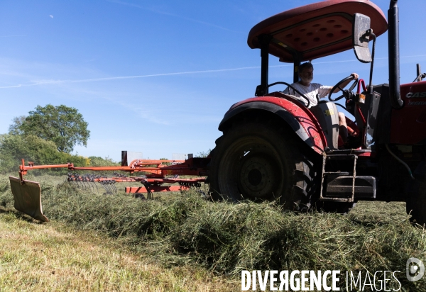 Notre Dame des Landes