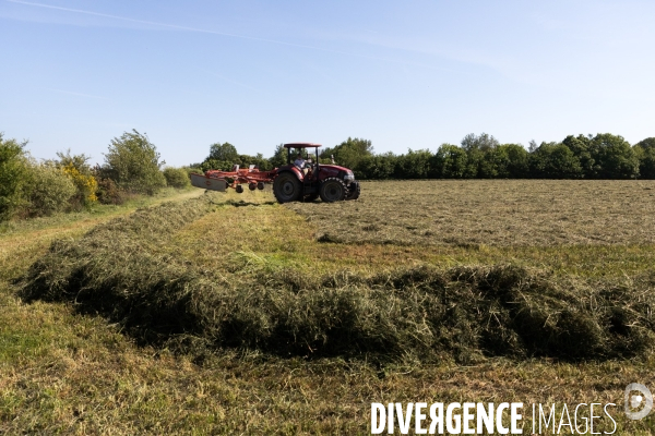 Notre Dame des Landes