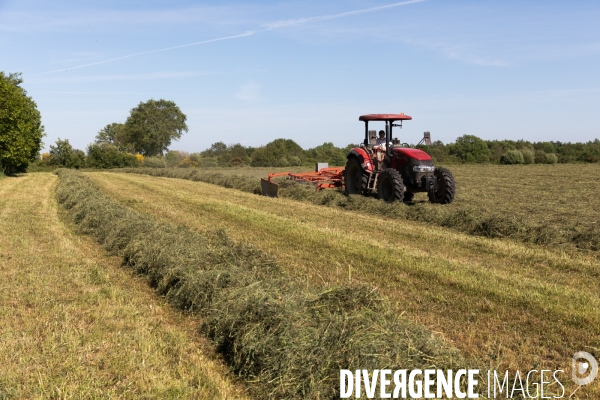 Notre Dame des Landes