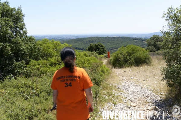 CCFF - Comités Communaux des Feux de Forêt