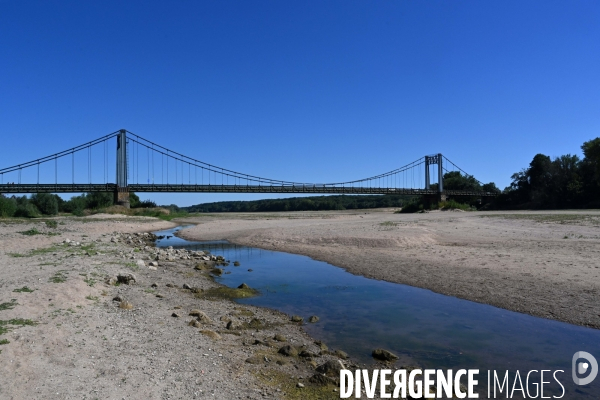 La Loire, canicule et sécheresse. Le débit du plus long fleuve de France inquiète