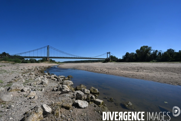 La Loire, canicule et sécheresse. Le débit du plus long fleuve de France inquiète