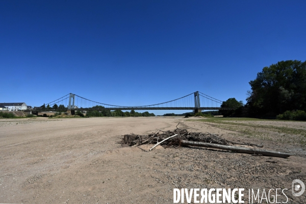 La Loire, canicule et sécheresse. Le débit du plus long fleuve de France inquiète