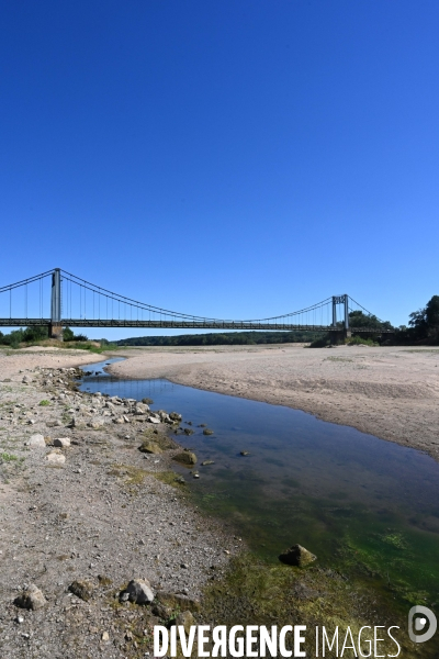 La Loire, canicule et sécheresse. Le débit du plus long fleuve de France inquiète