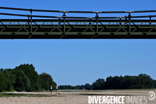 La Loire, canicule et sécheresse. Le débit du plus long fleuve de France inquiète