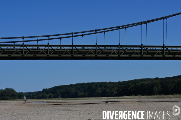 La Loire, canicule et sécheresse. Le débit du plus long fleuve de France inquiète