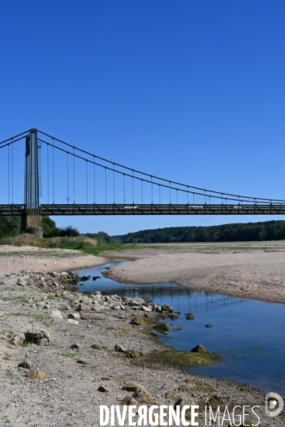 La Loire, canicule et sécheresse. Le débit du plus long fleuve de France inquiète