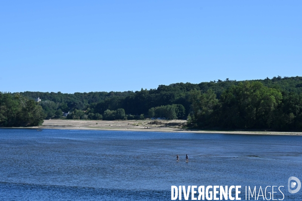 La Loire, canicule et sécheresse. Le débit du plus long fleuve de France inquiète