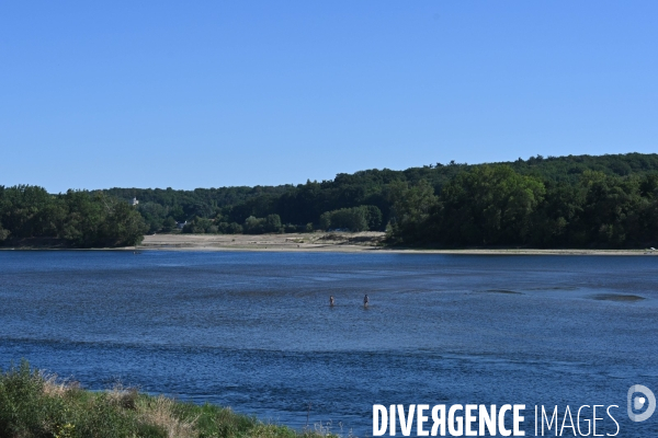 La Loire, canicule et sécheresse. Le débit du plus long fleuve de France inquiète