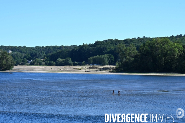 La Loire, canicule et sécheresse. Le débit du plus long fleuve de France inquiète