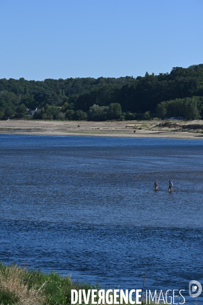 La Loire, canicule et sécheresse. Le débit du plus long fleuve de France inquiète