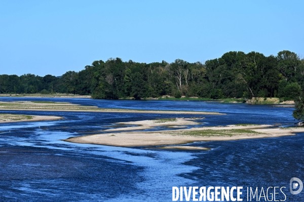 La Loire, canicule et sécheresse. Le débit du plus long fleuve de France inquiète