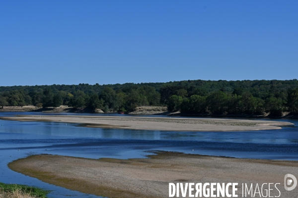 La Loire, canicule et sécheresse. Le débit du plus long fleuve de France inquiète