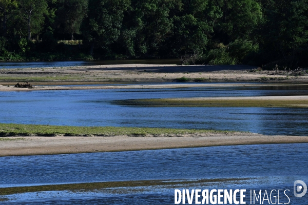 La Loire, canicule et sécheresse. Le débit du plus long fleuve de France inquiète