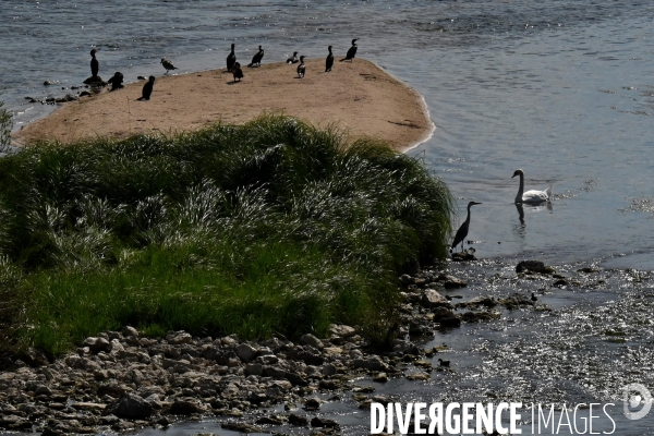 La Loire, canicule et sécheresse. Le débit du plus long fleuve de France inquiète