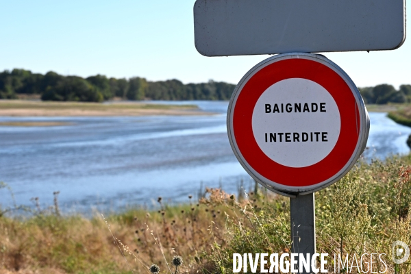 La Loire, canicule et sécheresse. Le débit du plus long fleuve de France inquiète