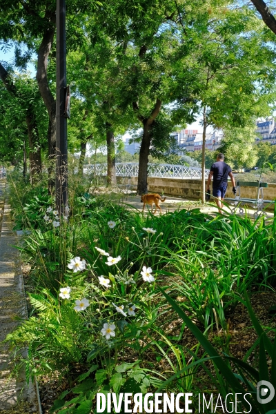 Paris s adapte au changement climatique