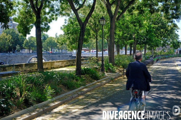 Paris s adapte au changement climatique