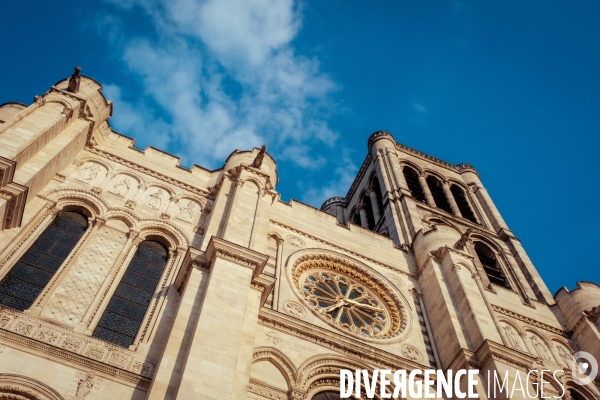 Basilique cathedrale de Saint Denis (93)