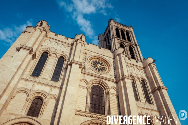 Basilique cathedrale de Saint Denis (93)