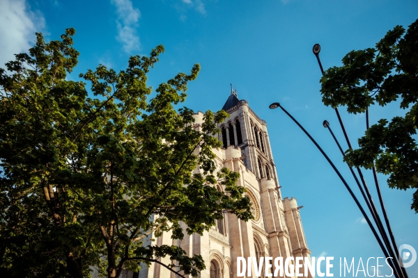 Basilique cathedrale de Saint Denis (93)