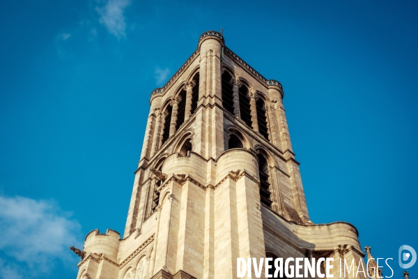 Basilique cathedrale de Saint Denis (93)