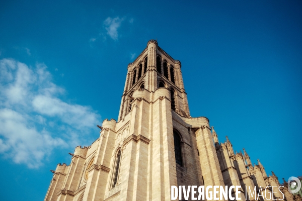 Basilique cathedrale de Saint Denis (93)