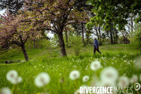 Parc de la butte Pinson a Villetaneuse (93)