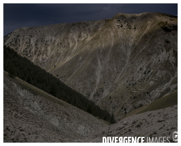 Le long de la Transbassealpine Digne Nice ( la bénediction des troupeaux )