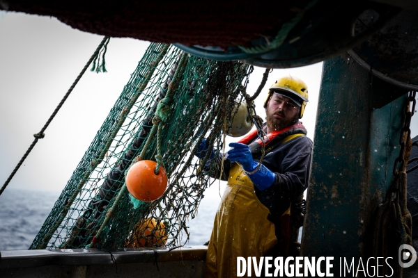 Port Louis : chalutier Phalene  pêche a la langoustine