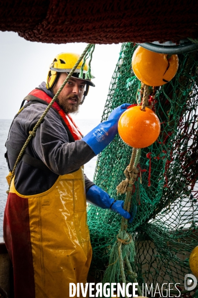 Port Louis : chalutier Phalene  pêche a la langoustine