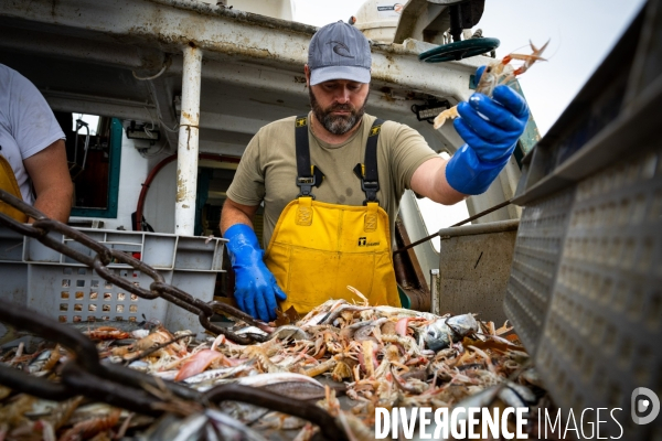 Port Louis : chalutier Phalene  pêche a la langoustine