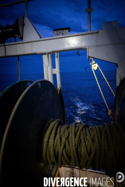 Port Louis : chalutier Phalene  pêche a la langoustine