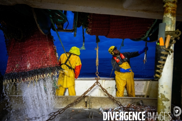 Port Louis : chalutier Phalene  pêche a la langoustine