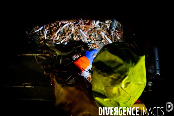 Port Louis : chalutier Phalene  pêche a la langoustine