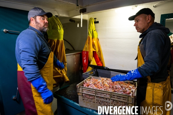 Port Louis : chalutier Phalene  pêche a la langoustine