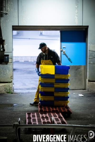 Port Louis : chalutier Phalene  pêche a la langoustine