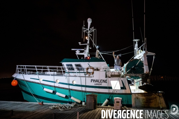 Port Louis : chalutier Phalene  pêche a la langoustine