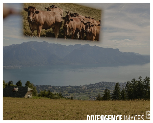 Riviera Vaudoise # 22 ( Un Conte en Suisse )