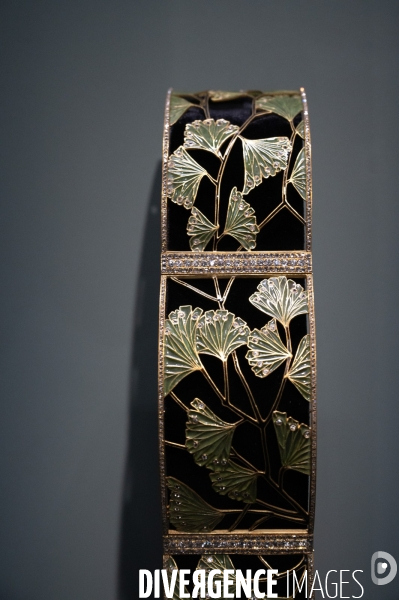 Exposition Végétal aux Beaux-Arts.