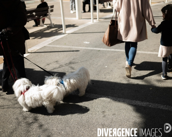 Le Vote Zemmour dans le var