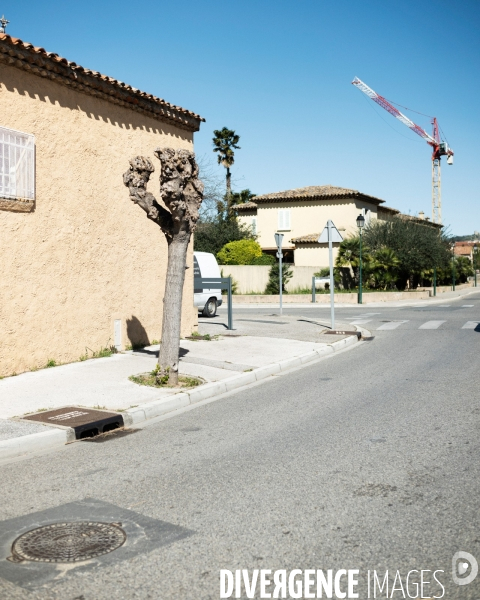Le Vote Zemmour dans le var
