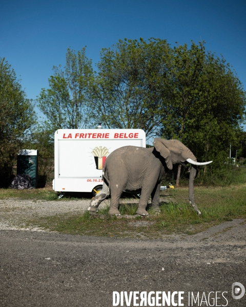 Le Vote Zemmour dans le var